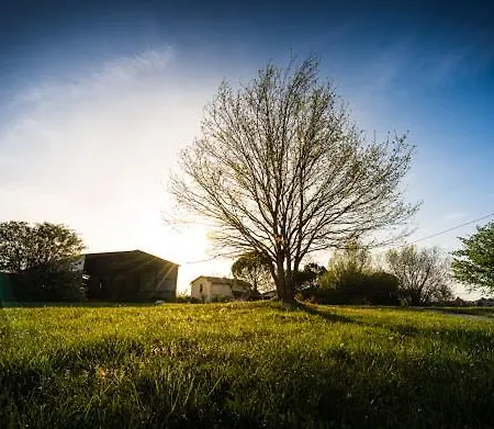 Lov'home *